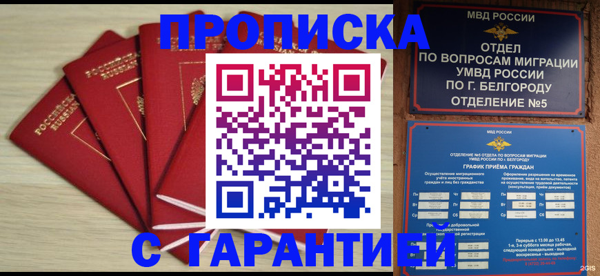 миграционный учет в Ельне